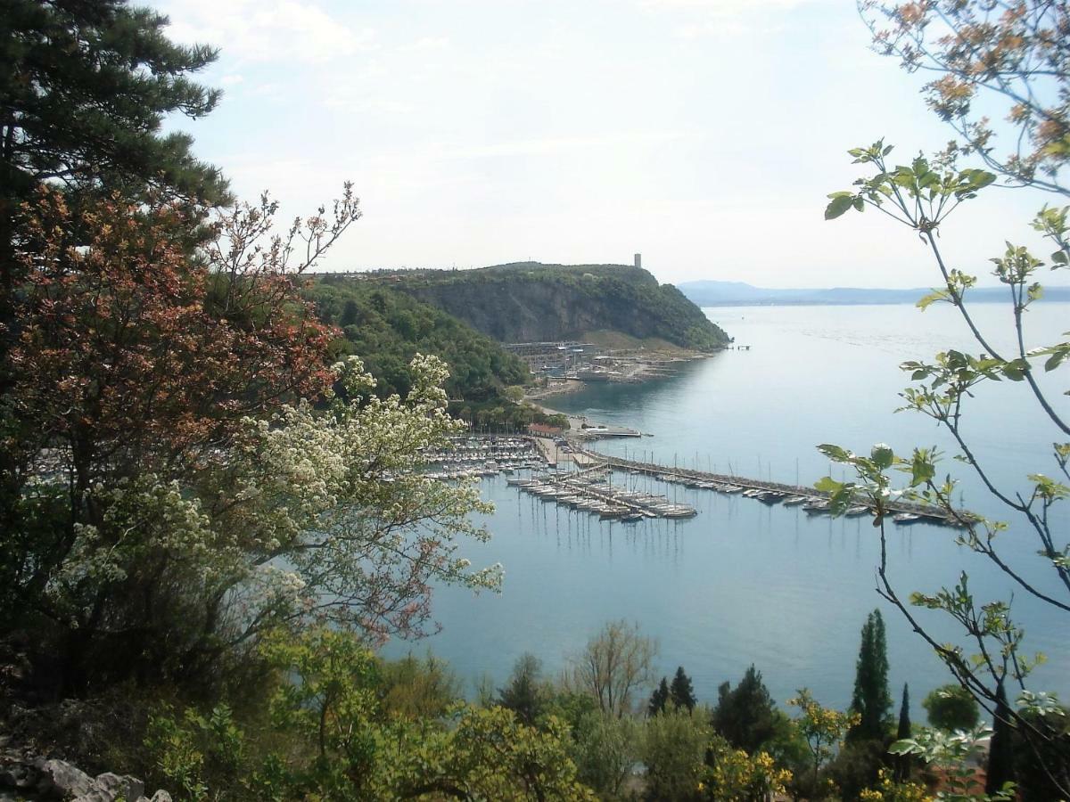 Casa Vacanze Lepa Vida Sistiana Bagian luar foto